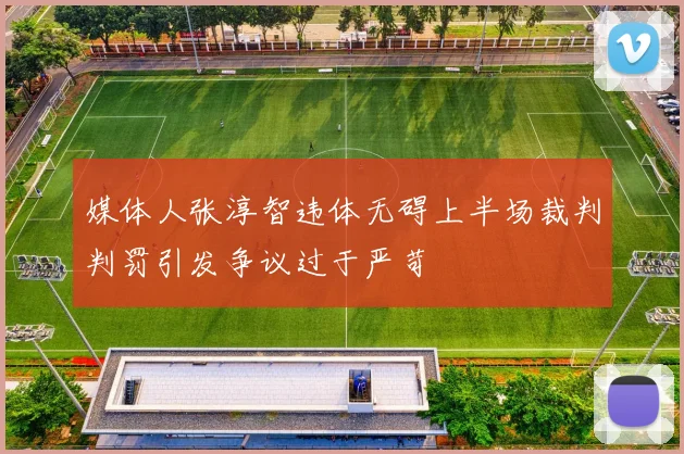 媒体人张淳智违体无碍上半场裁判判罚引发争议过于严苛