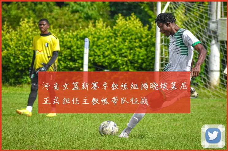 河南女篮新赛季教练组揭晓埃莱尼正式担任主教练带队征战